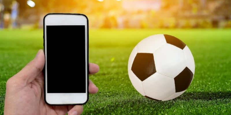 Những yếu tố cốt lõi giúp người chơi làm chủ bảng vị thẻ phạt